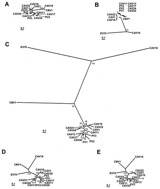 FIG. 5.