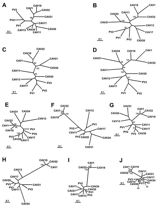 FIG. 6.