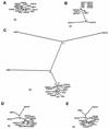 FIG. 5.