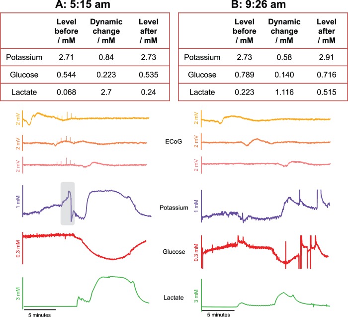 Figure 5.