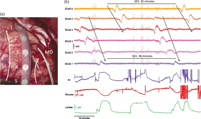 Figure 4.