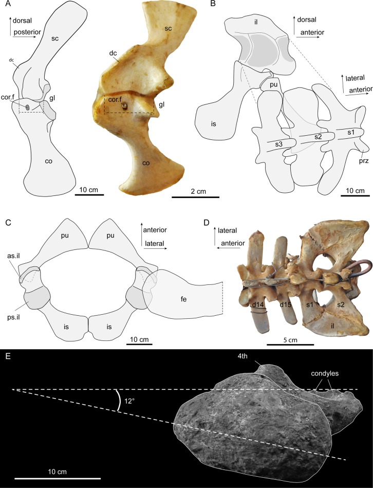 Figure 4.