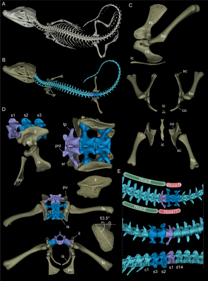 Figure 5.