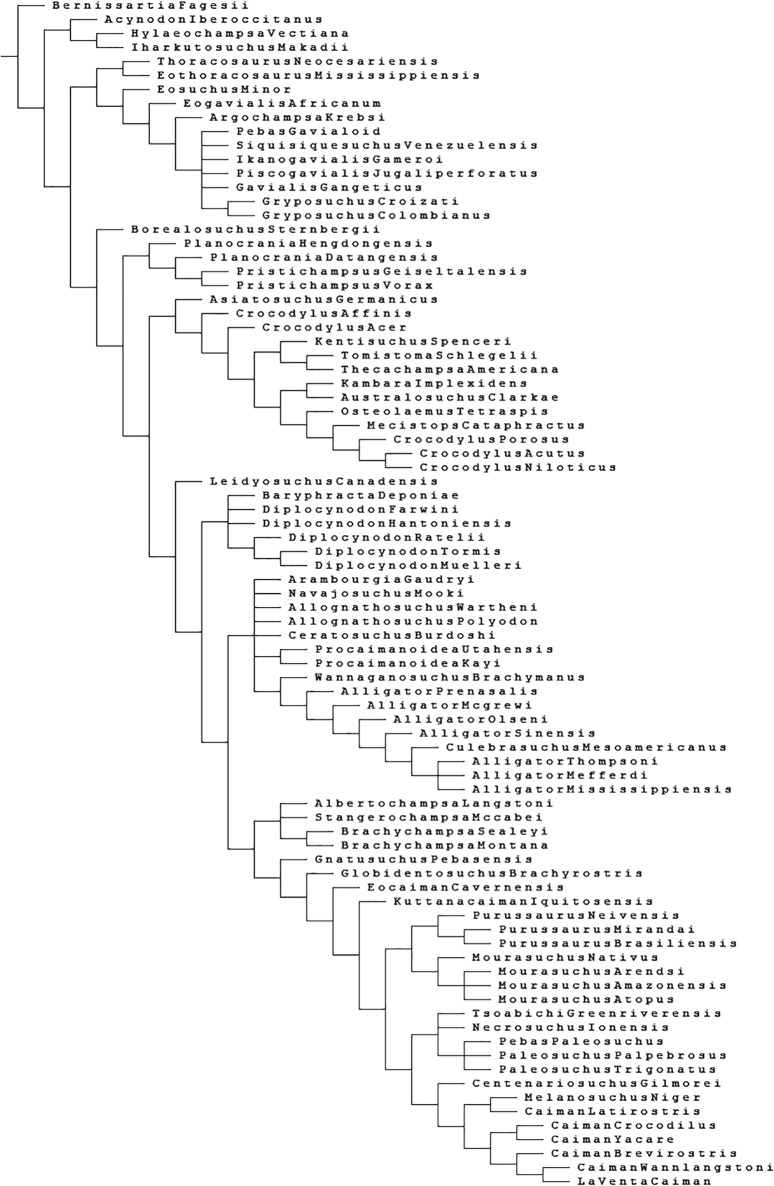 Figure 1—figure supplement 1.