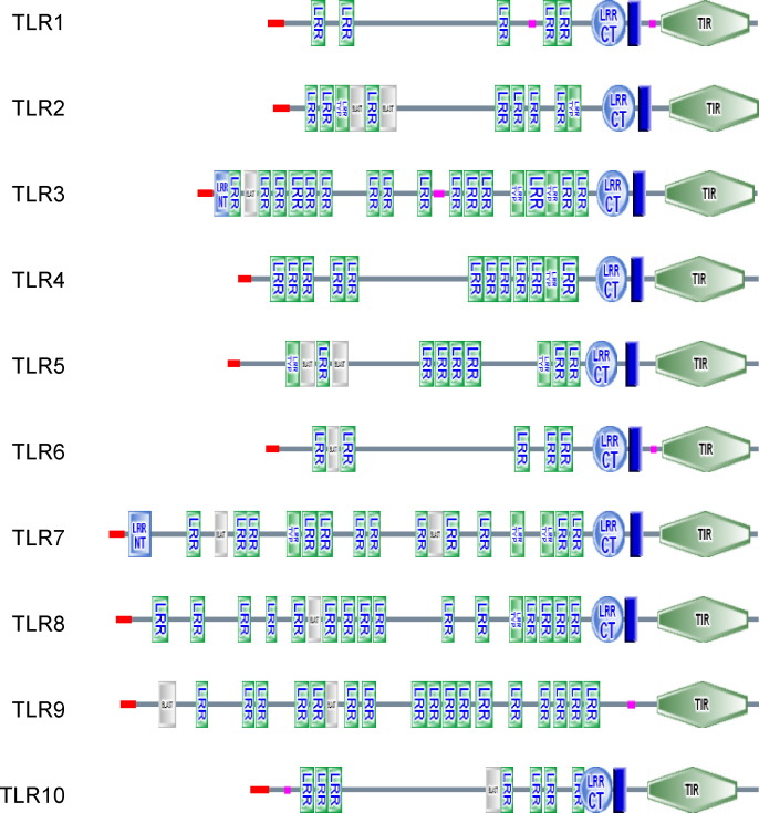 Fig. 3