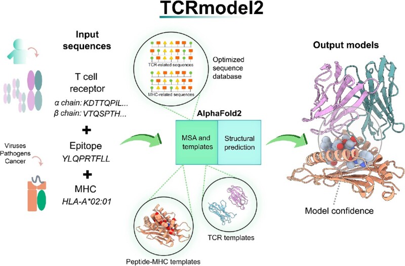 Graphical Abstract