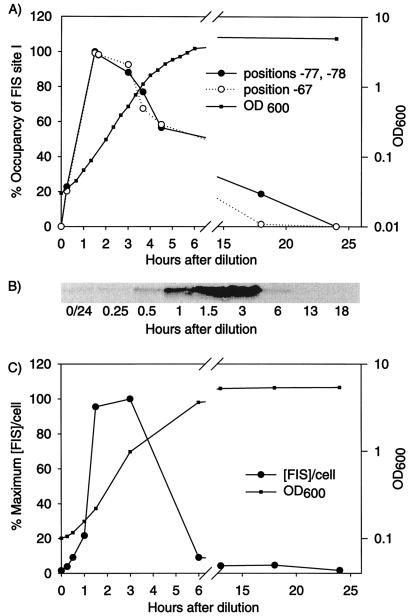 FIG. 3