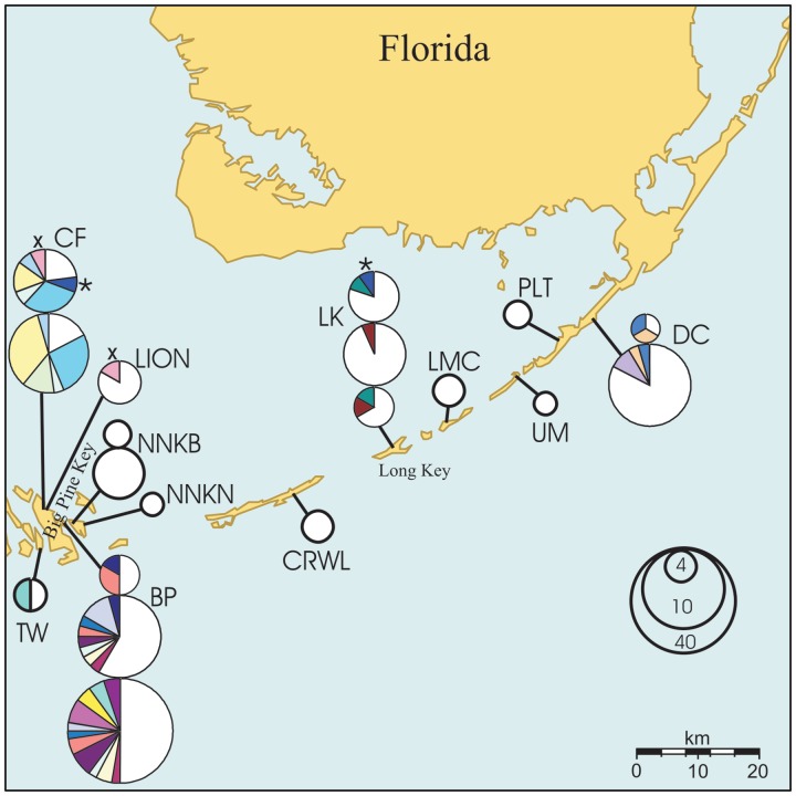 Fig. 1