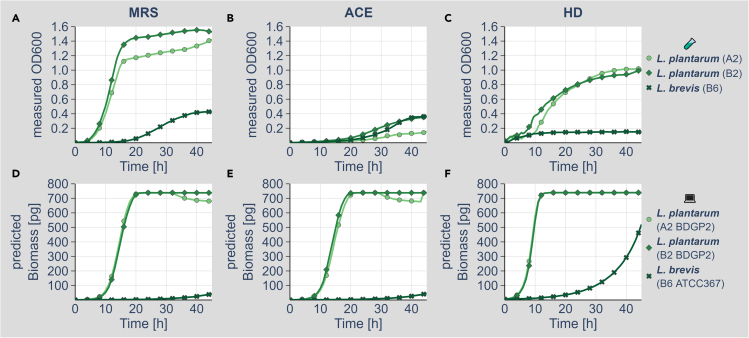 Figure 1