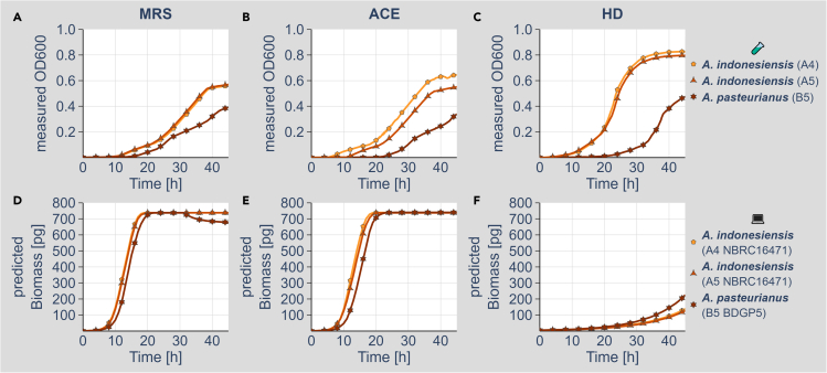 Figure 2