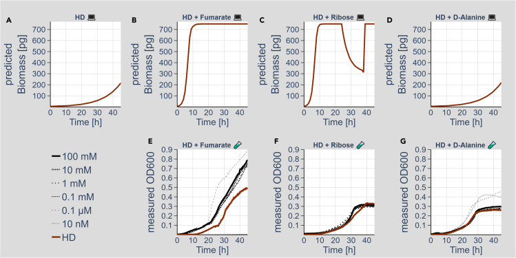 Figure 6