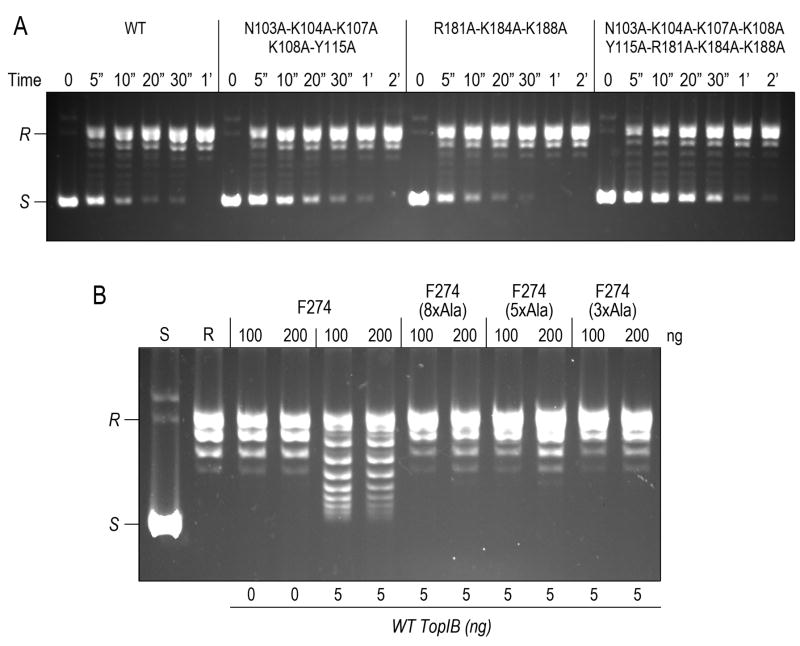 Figure 5