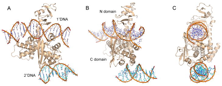 Figure 6