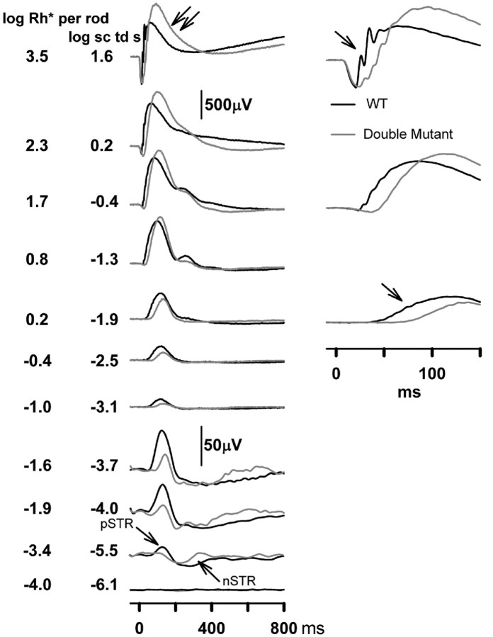 Figure 10.