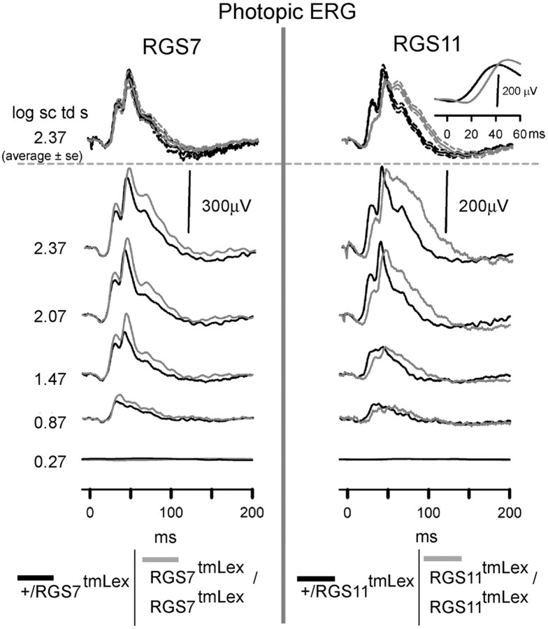 Figure 9.