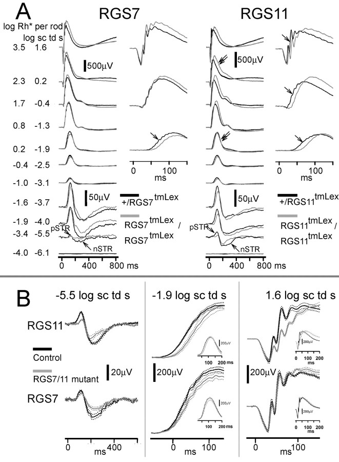 Figure 7.