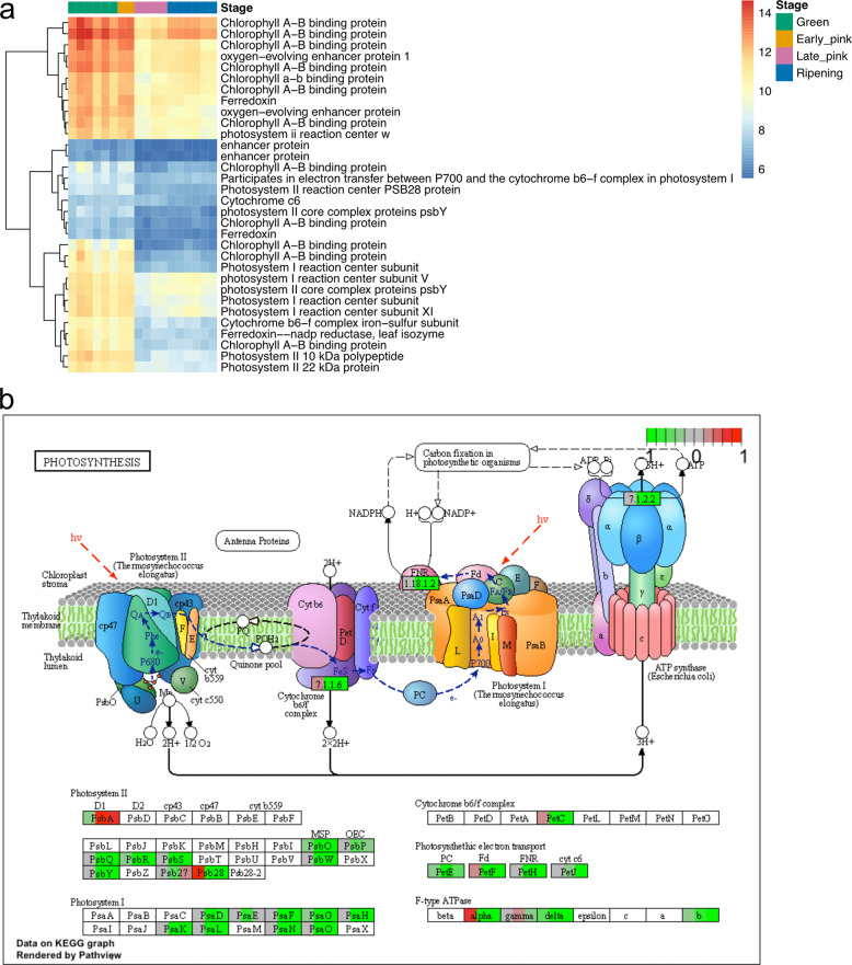 Fig. 4