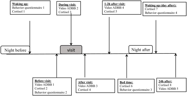 Fig 1