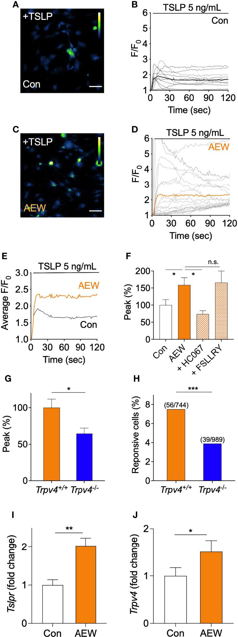 Figure 5