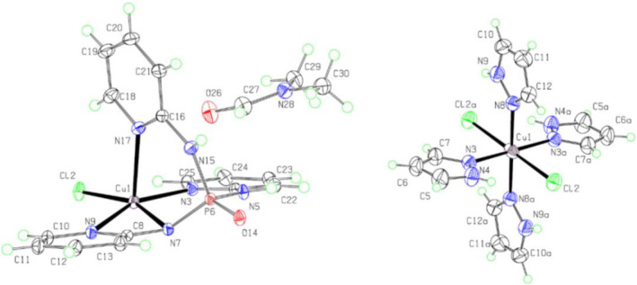 FIGURE 3