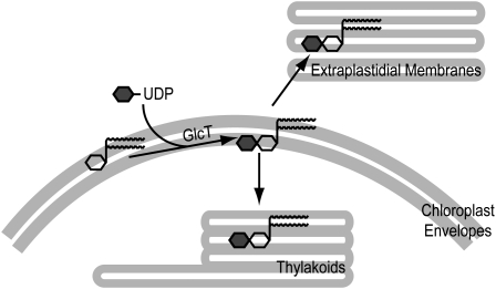 Figure 9.