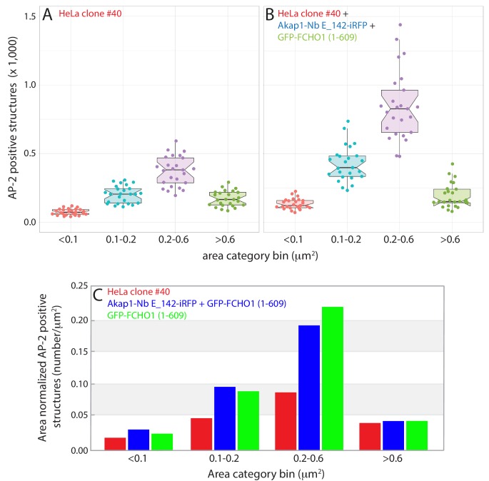 Figure 11—figure supplement 1.