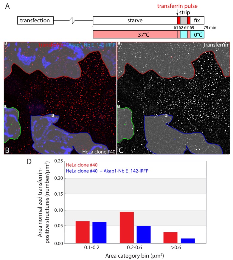 Figure 9—figure supplement 1.