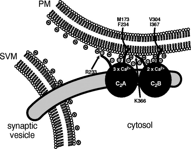 Fig. 9.