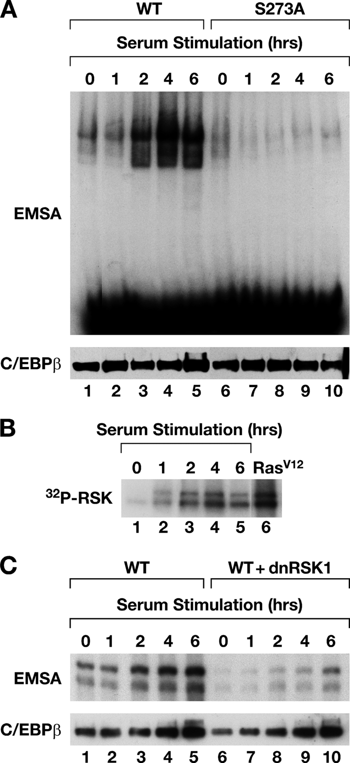 FIG. 6.