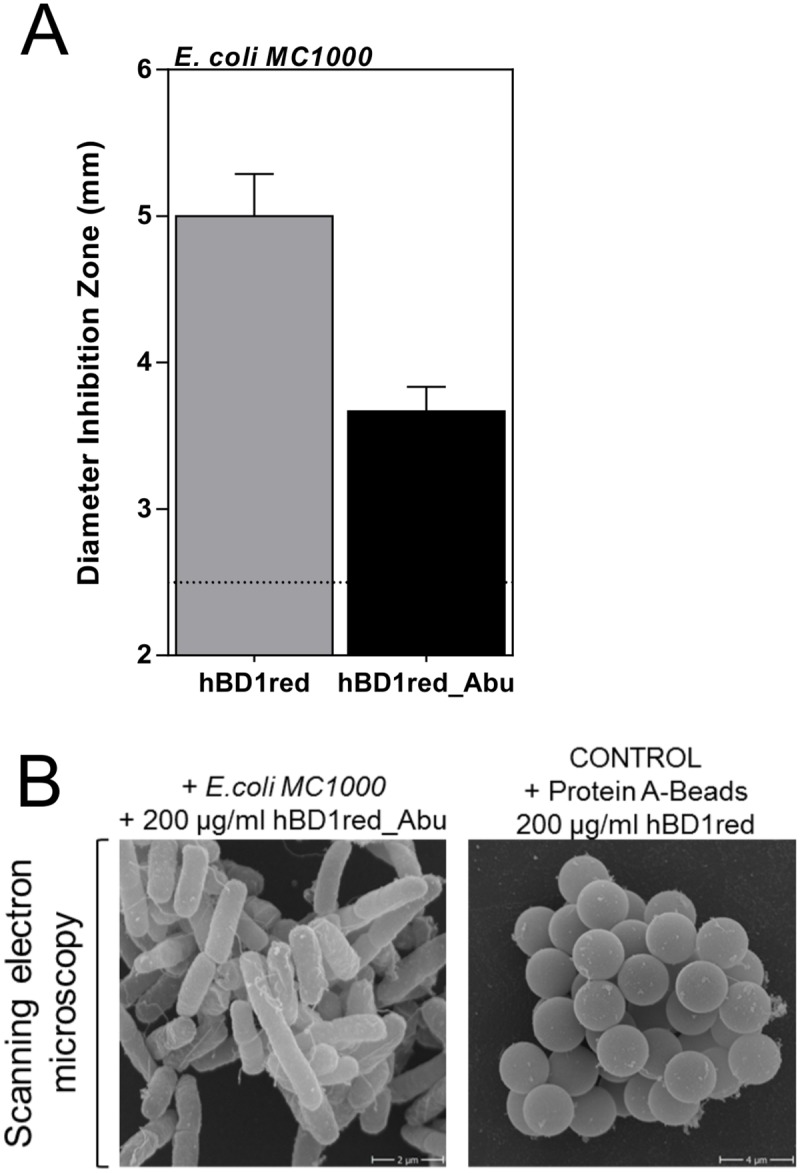 Fig 4