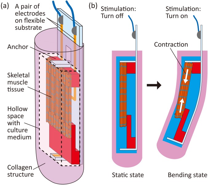 FIG. 1.