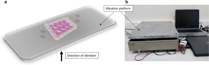 Fig. 1