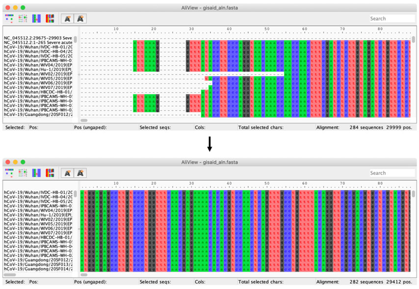 Figure 2: