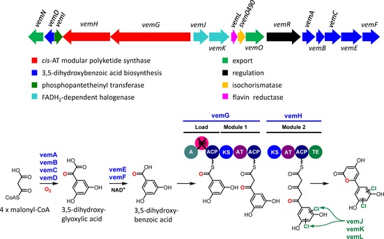 Scheme 1