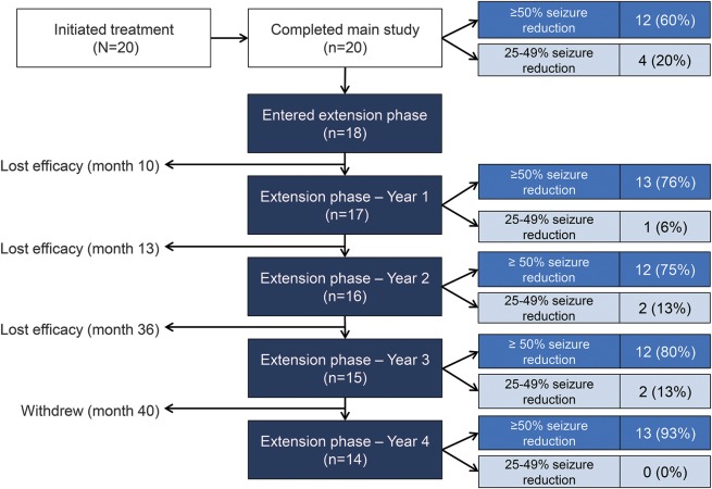 Long-term treatment of epilepsy with everolimus in tuberous sclerosis - PMC