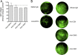 Fig. S4.