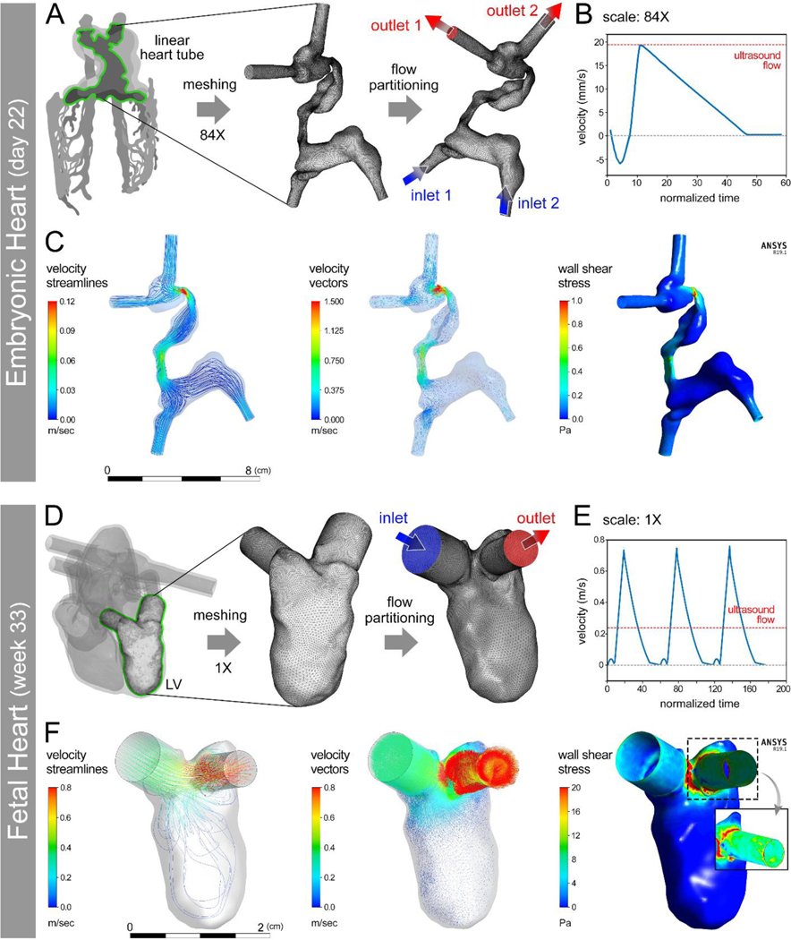 Figure 3: