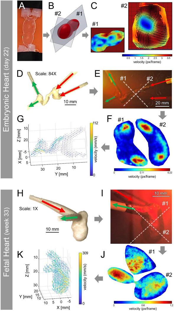 Figure 2: