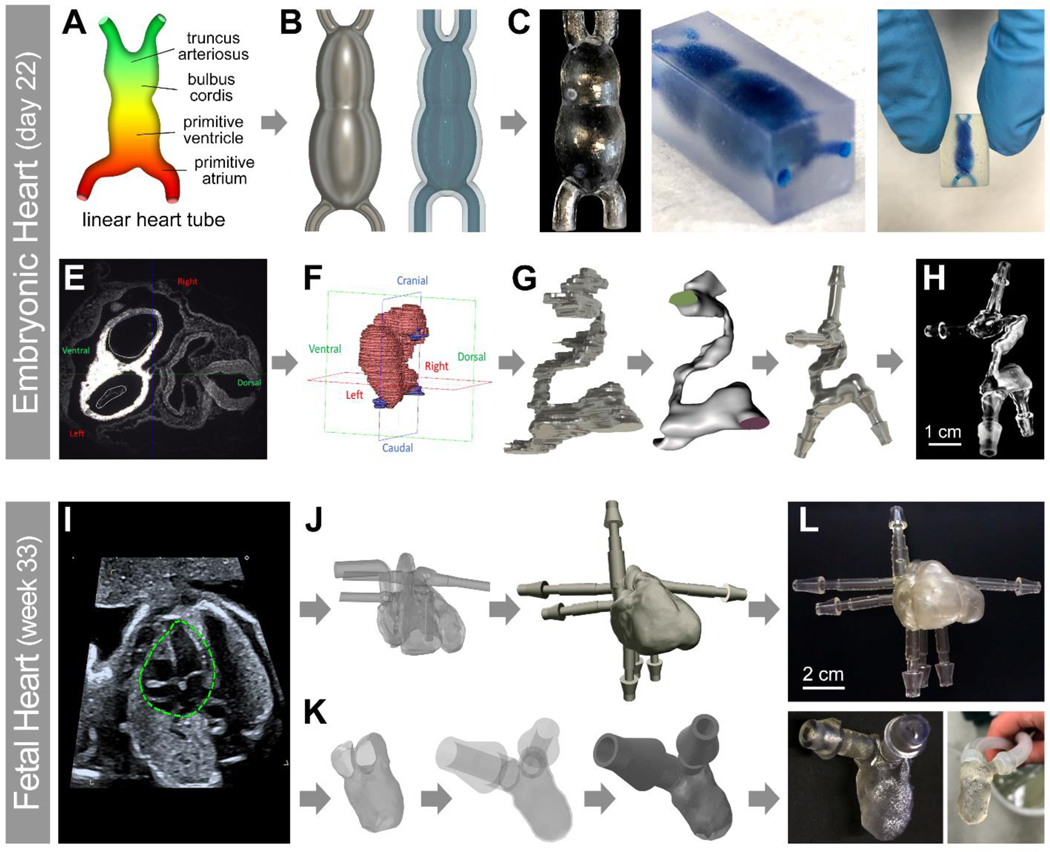 Figure 1: