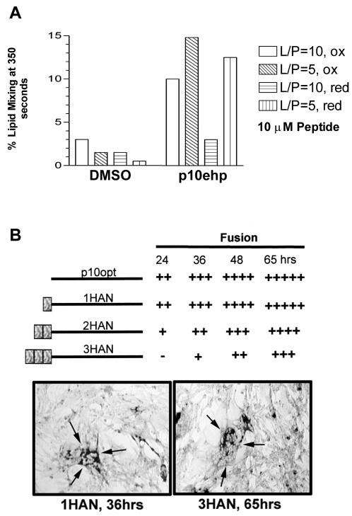 FIG. 8.