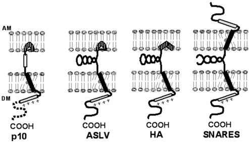 FIG. 9.