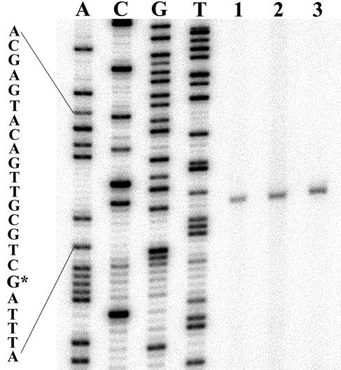 FIG. 5.