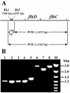 FIG. 2.