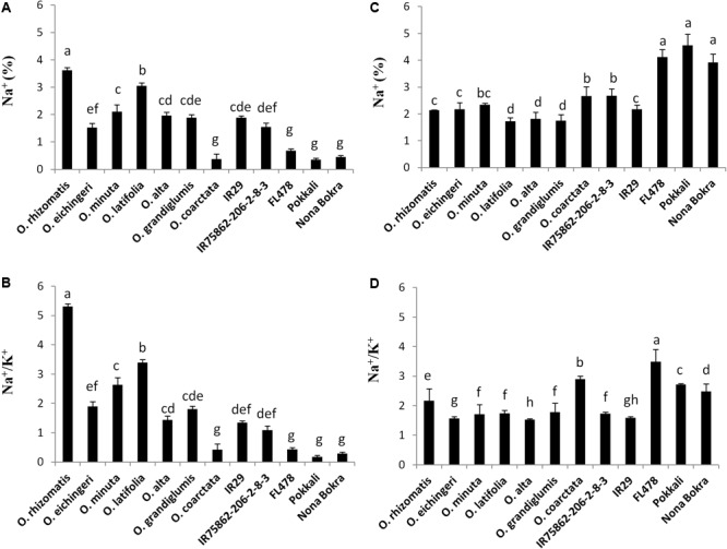 FIGURE 4