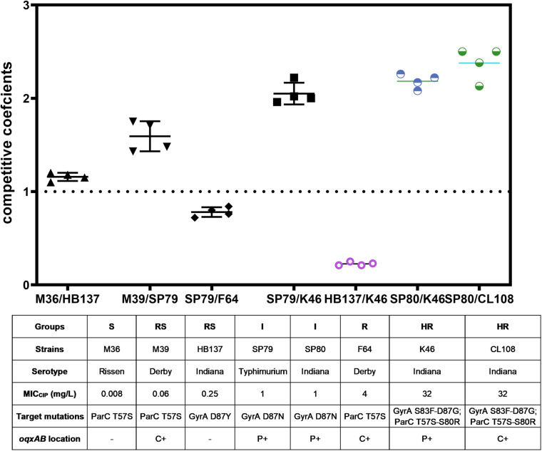 FIGURE 3