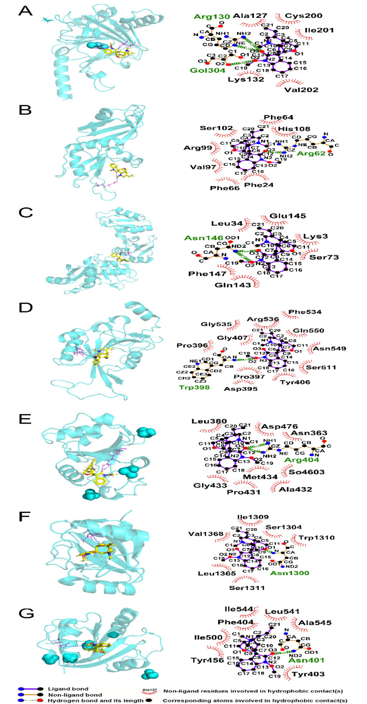 Figure 9