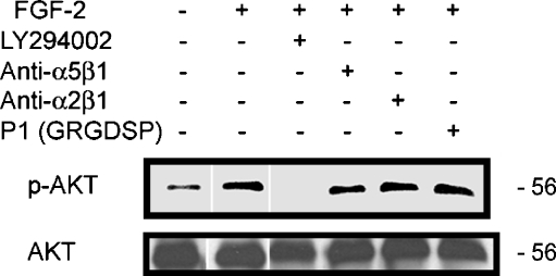 Fig. 7