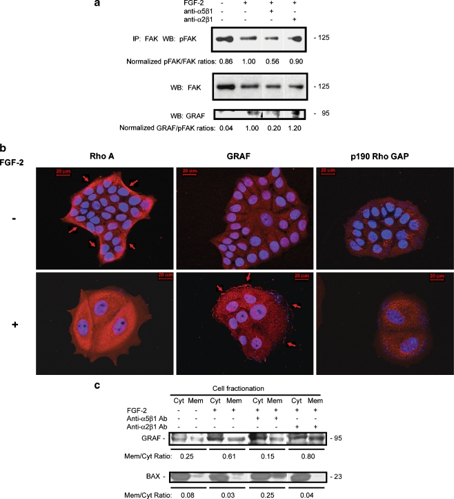 Fig. 6