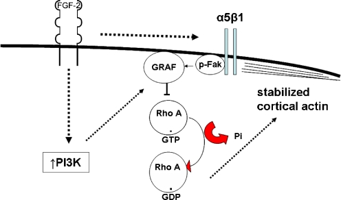 Fig. 10