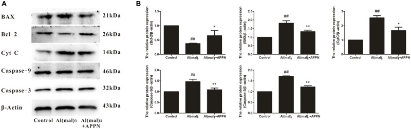 FIGURE 14